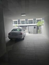 Pollen Collection (D28), Semi-Detached #591238921
